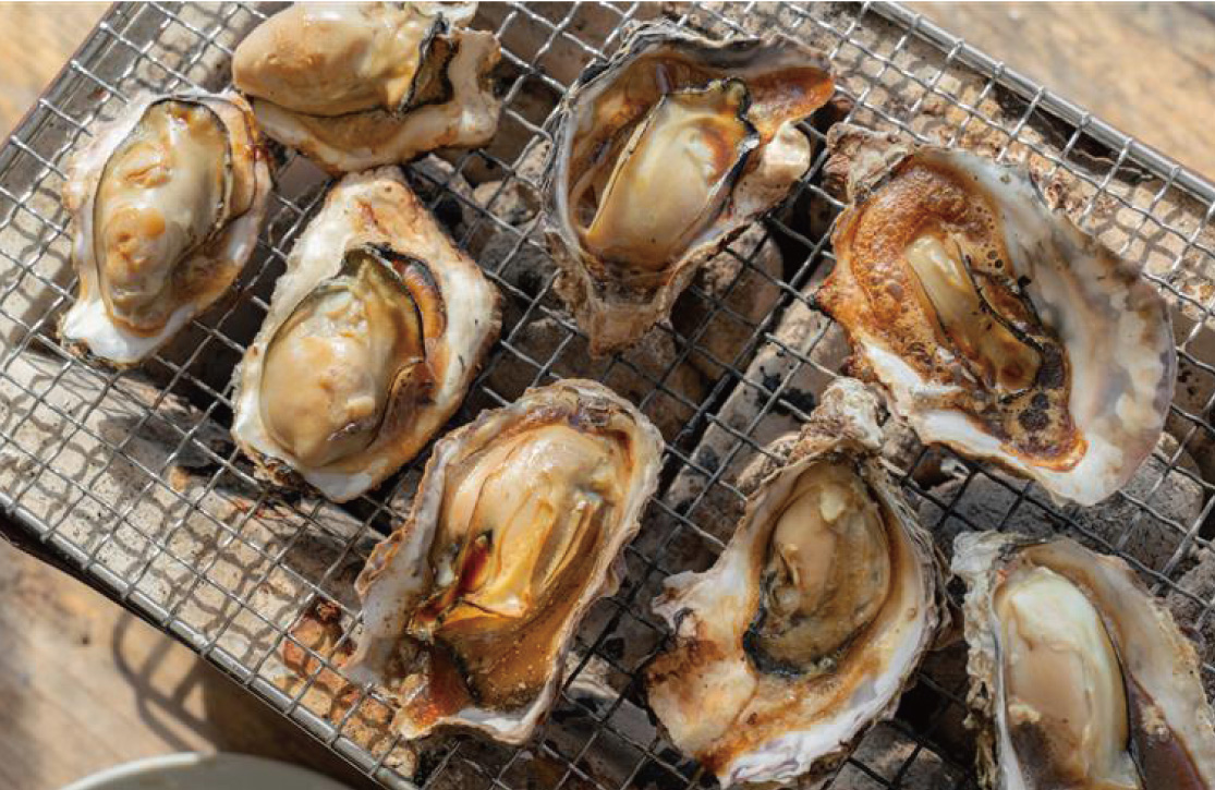 ウッドデザインパーク 野間