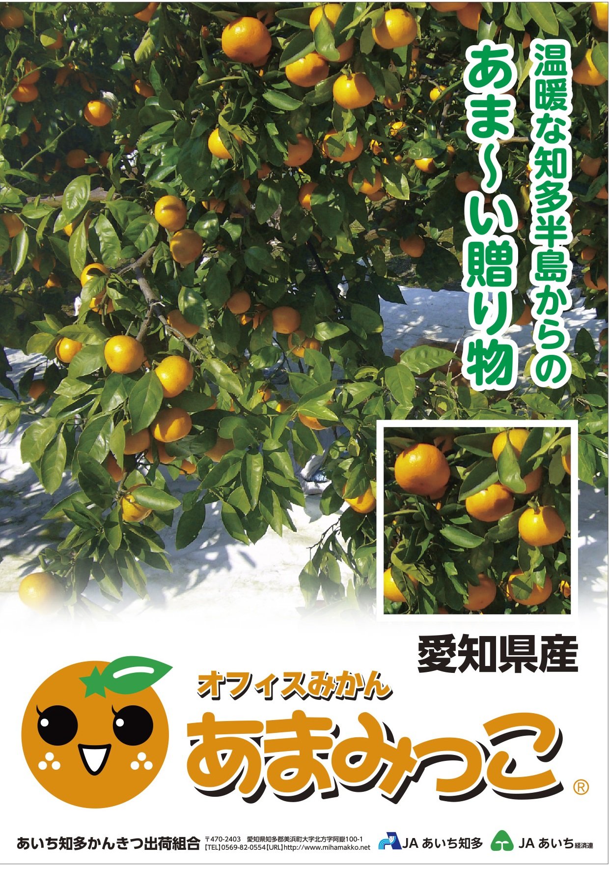 ちたまるショッピング 知多まるごと物産店｜通販｜お取り寄せ｜ち 