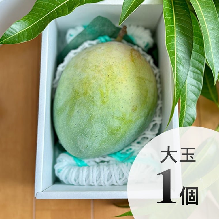 プレミアム恋マンゴー/キーツマンゴー【1Kg入り】[常温便] | ち