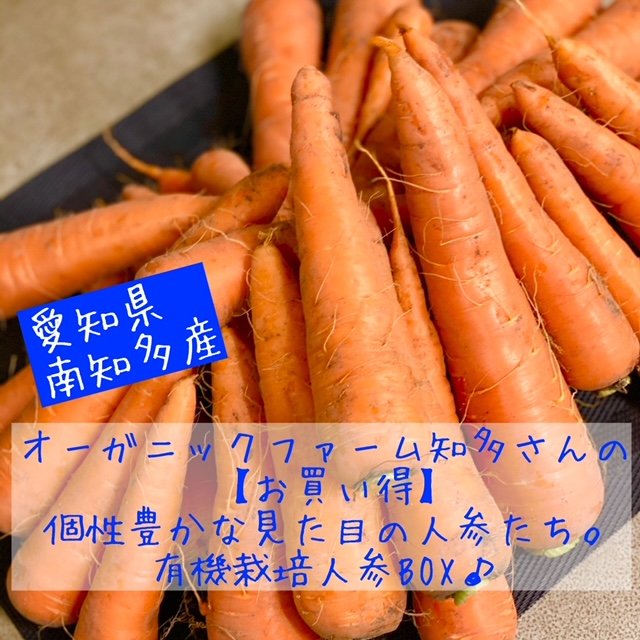 ちたまるショッピング 知多まるごと物産店 通販 お取り寄せ ちたまるナビ