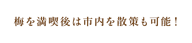 梅を満喫後は市内を散策も可能！